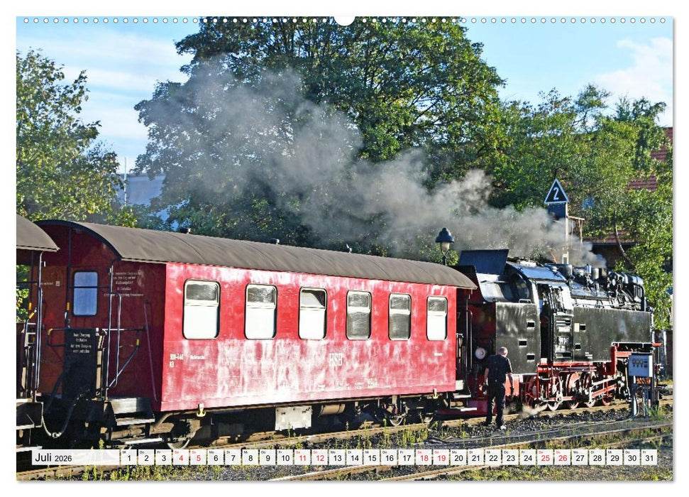 Wernigerode, die wunderschöne Stadt im Harz (CALVENDO Premium Wandkalender 2026)