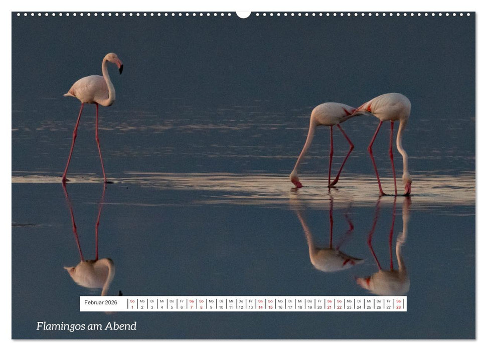 Von Festung bis Flamenco (CALVENDO Premium Wandkalender 2026)