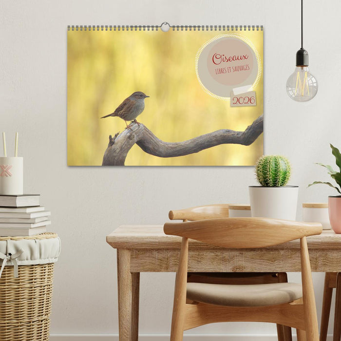 Oiseaux libres et sauvages (CALVENDO Calendrier mensuel 2026)