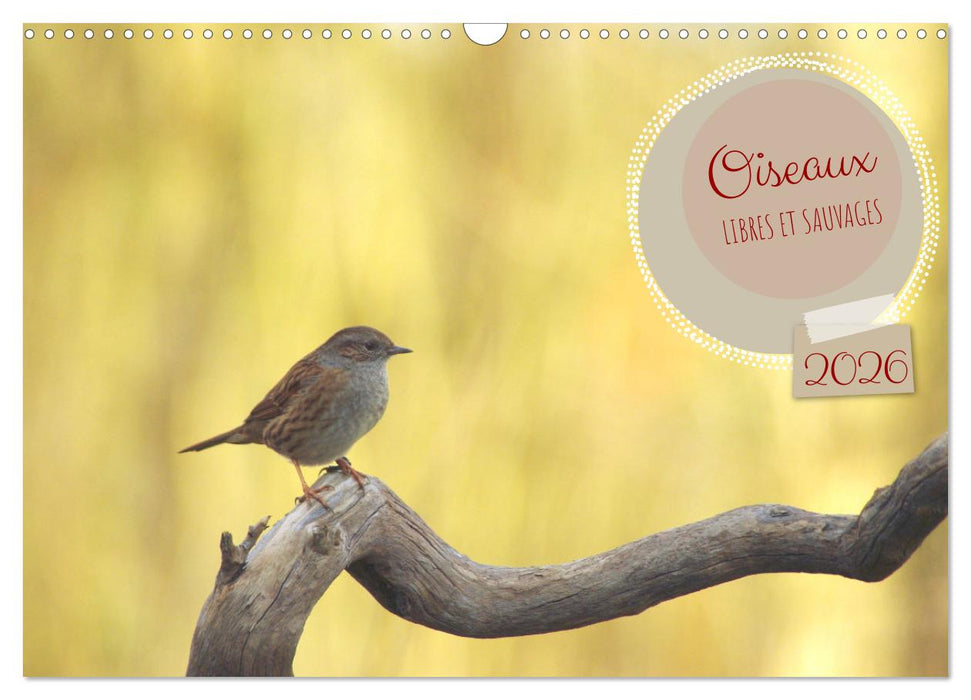 Oiseaux libres et sauvages (CALVENDO Calendrier mensuel 2026)
