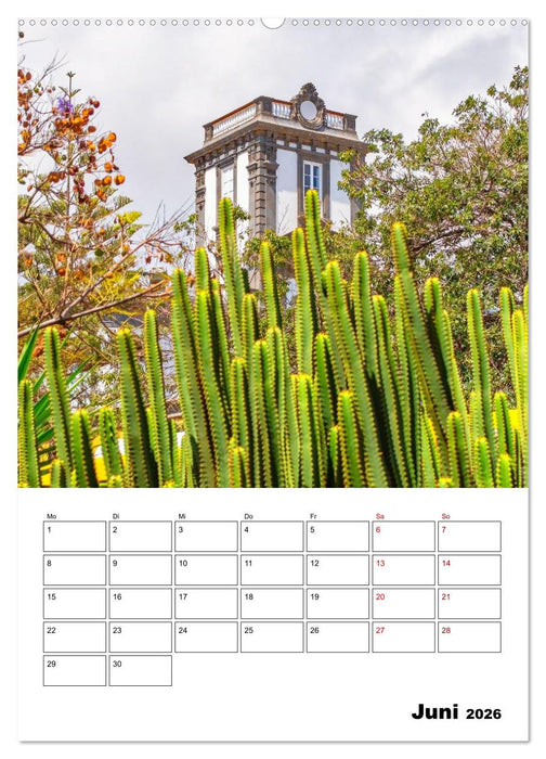 Las Palmas - ein traumhaftes Reiseziel (CALVENDO Premium Wandkalender 2026)