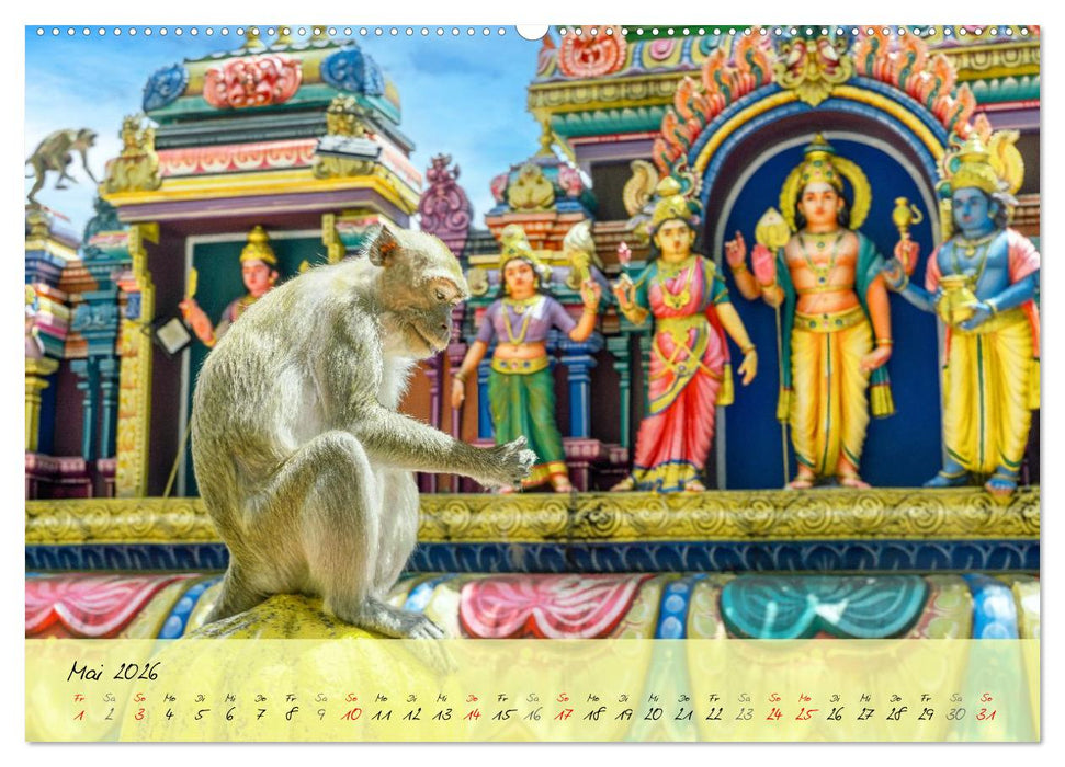 Faszination Malaysia Zauberhaftes Südostasien (CALVENDO Wandkalender 2026)