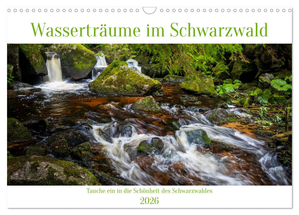 Wasserträume im Schwarzwald (CALVENDO Wandkalender 2026)