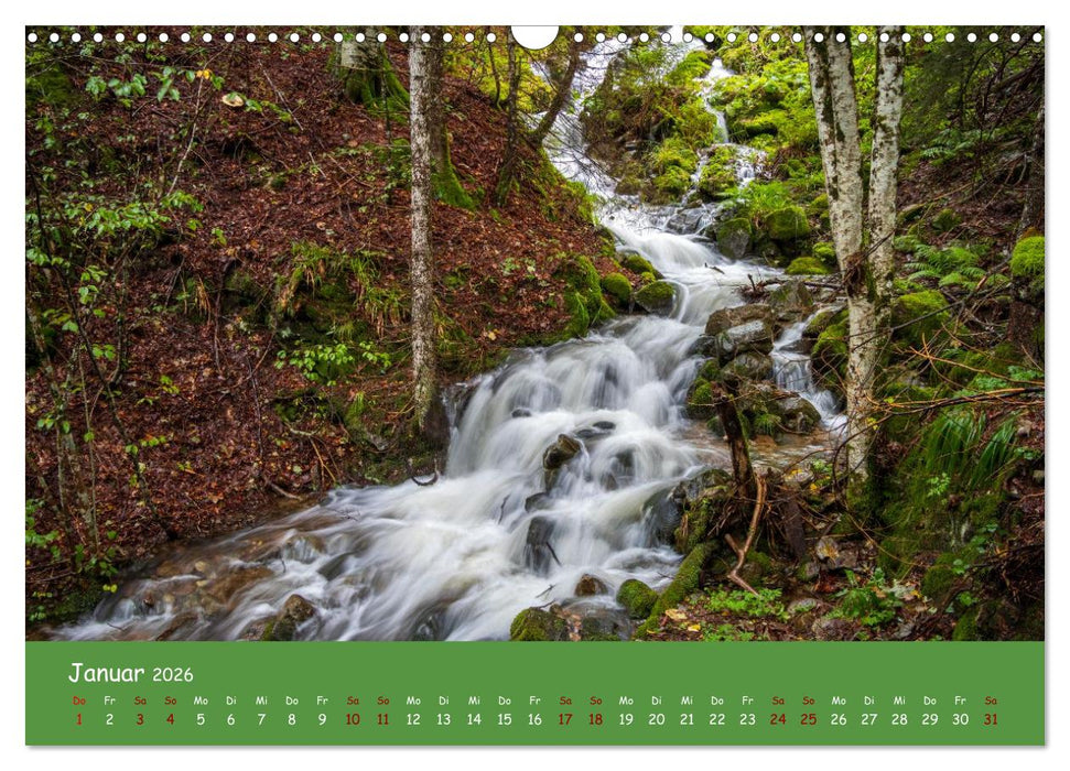 Wasserträume im Schwarzwald (CALVENDO Wandkalender 2026)