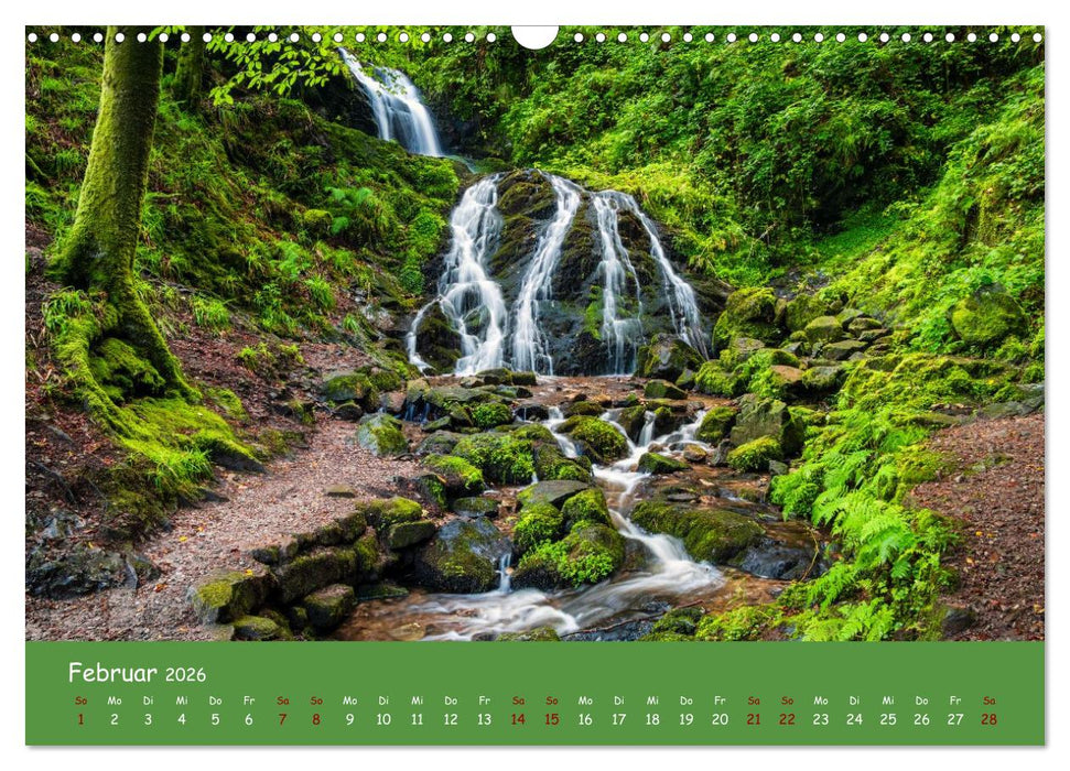 Wasserträume im Schwarzwald (CALVENDO Wandkalender 2026)
