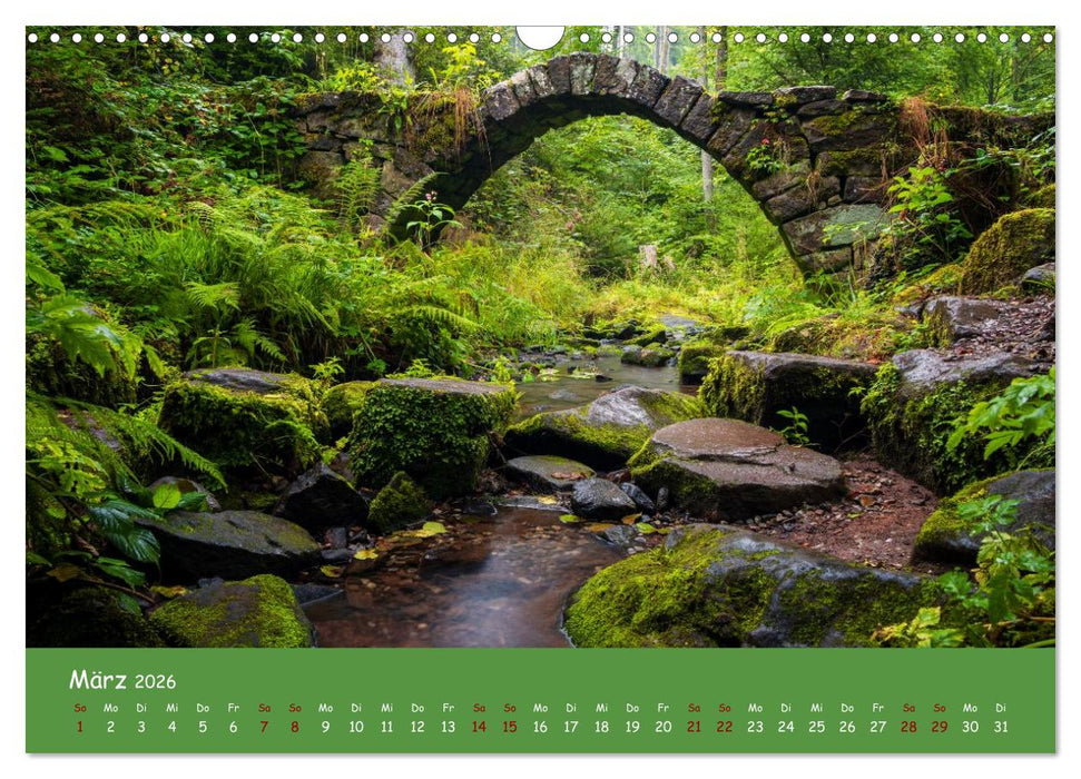 Wasserträume im Schwarzwald (CALVENDO Wandkalender 2026)