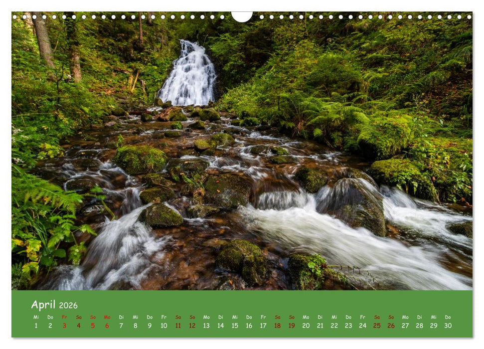Wasserträume im Schwarzwald (CALVENDO Wandkalender 2026)