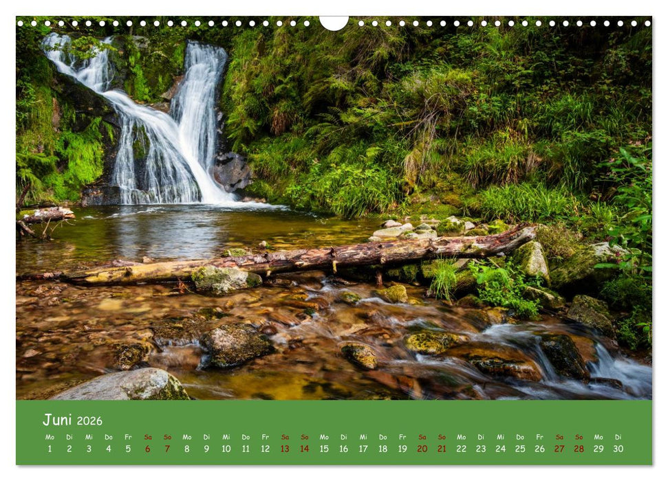 Wasserträume im Schwarzwald (CALVENDO Wandkalender 2026)