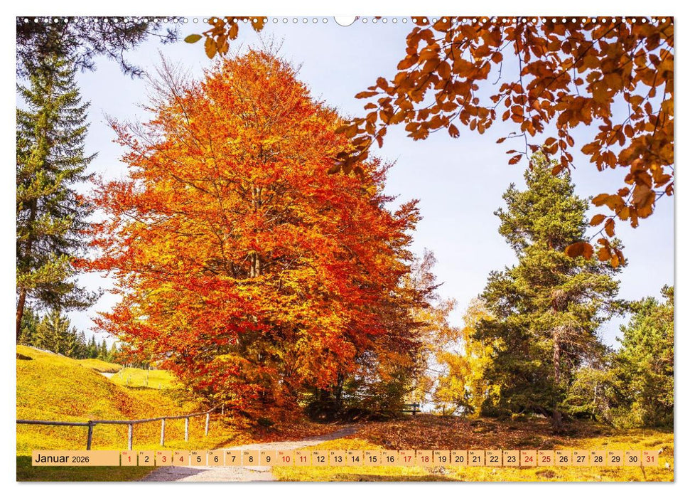 Das Element Holz - Ein Sinnbild (CALVENDO Premium Wandkalender 2026)