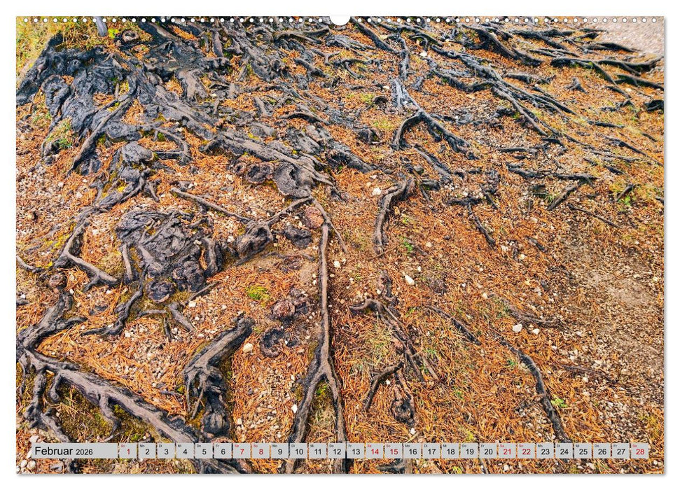 Das Element Holz - Ein Sinnbild (CALVENDO Premium Wandkalender 2026)