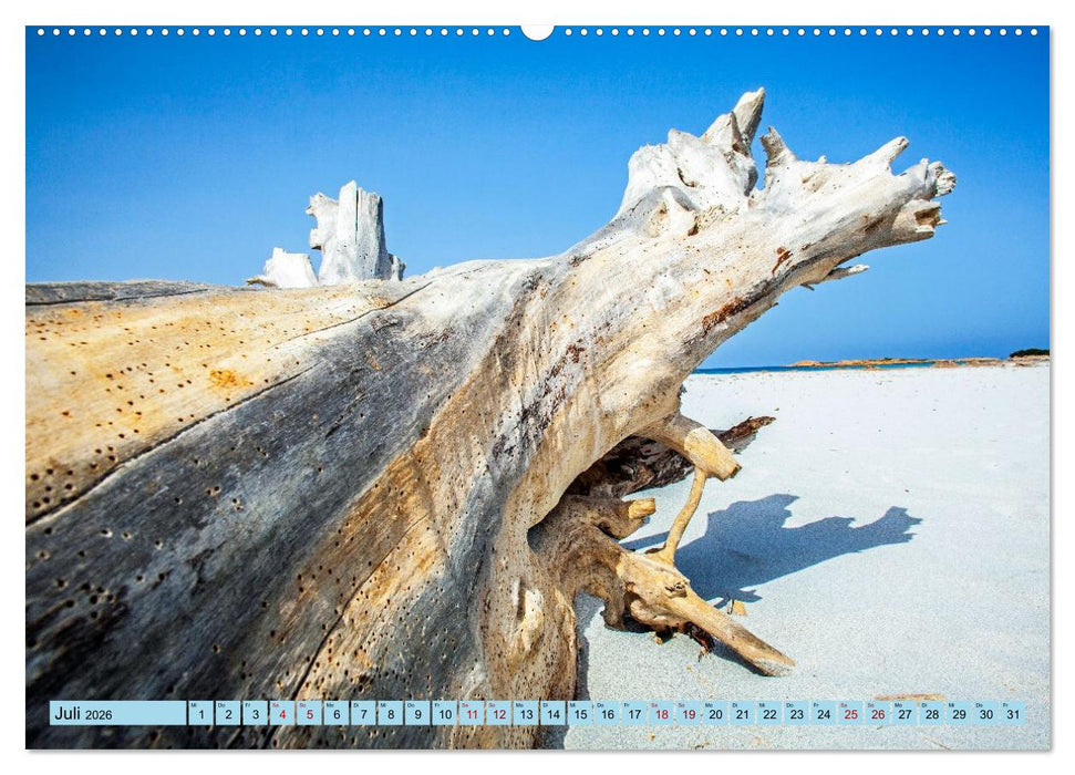 Das Element Holz - Ein Sinnbild (CALVENDO Premium Wandkalender 2026)