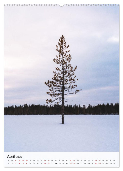 Finnland - Winter Wunderland (CALVENDO Wandkalender 2026)