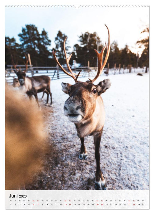 Finnland - Winter Wunderland (CALVENDO Wandkalender 2026)
