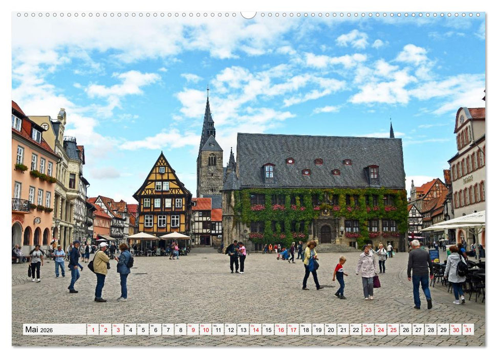 Im wunderschönen Harz (CALVENDO Wandkalender 2026)