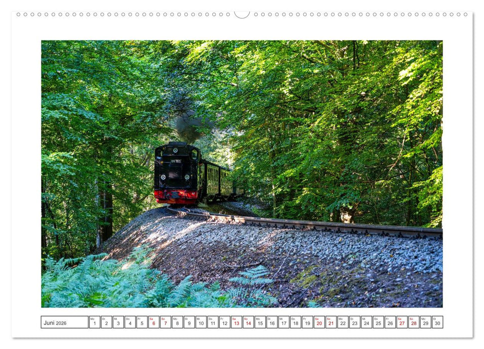 Impressionen von der Ostseeinsel Rügen (CALVENDO Premium Wandkalender 2026)