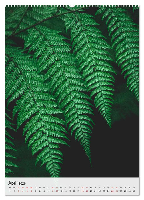 Madeira - Das Juwel im Atlantik (CALVENDO Wandkalender 2026)