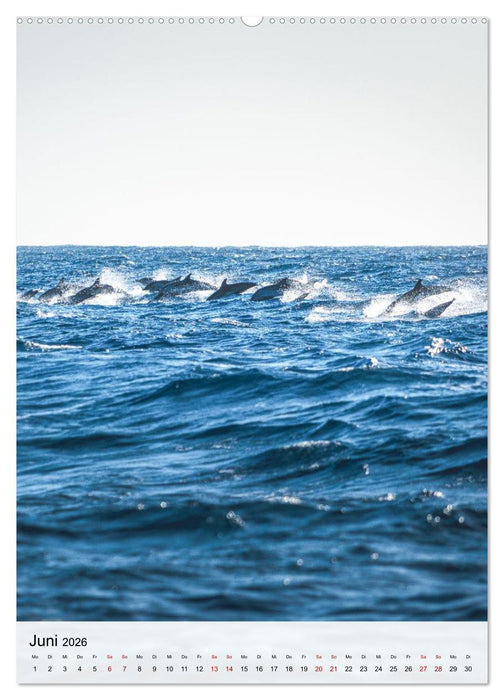 Madeira - Das Juwel im Atlantik (CALVENDO Premium Wandkalender 2026)