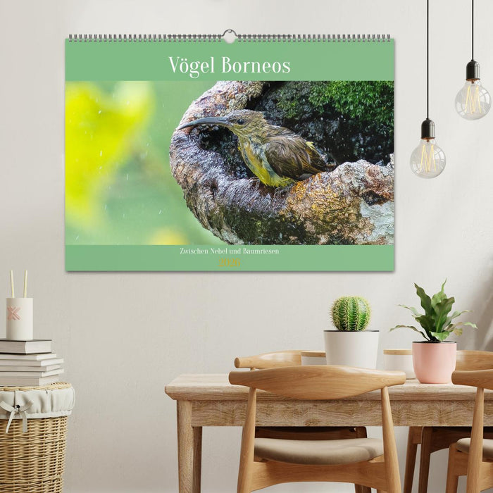 Zwischen Nebel und Baumriesen - Vögel Borneos (CALVENDO Wandkalender 2026)