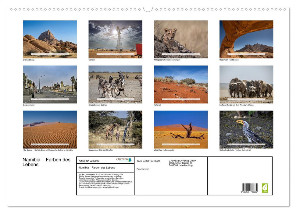 Namibia – Farben des Lebens (CALVENDO Wandkalender 2026)