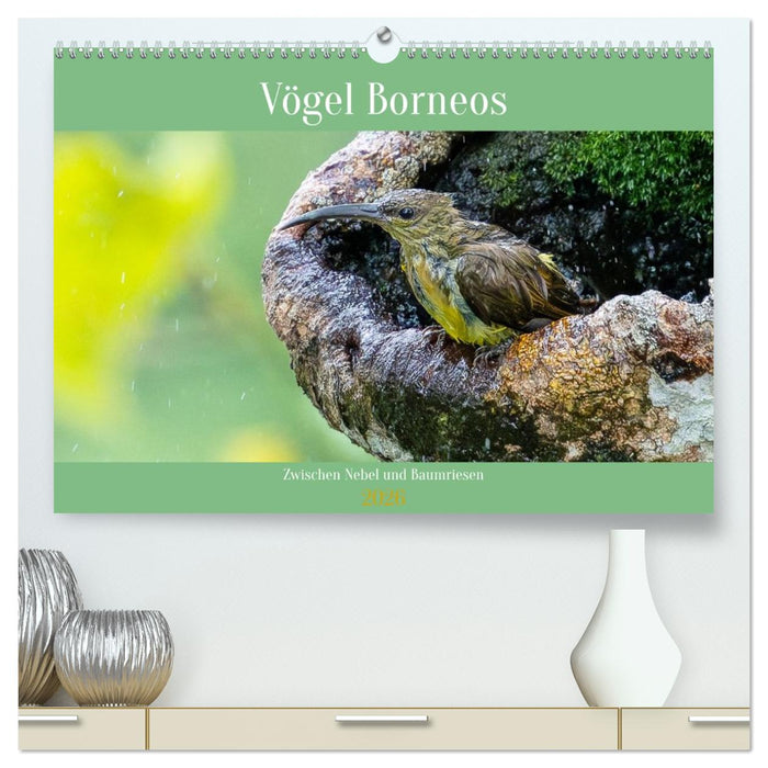 Zwischen Nebel und Baumriesen - Vögel Borneos (CALVENDO Premium Wandkalender 2026)