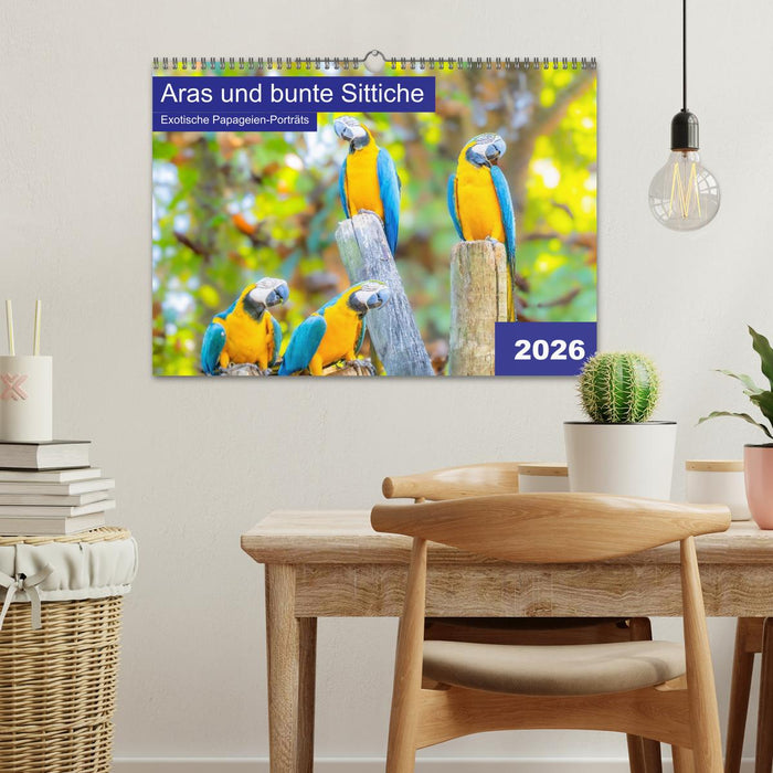 Aras und bunte Sittiche: Exotische Papageien-Porträts (CALVENDO Wandkalender 2026)