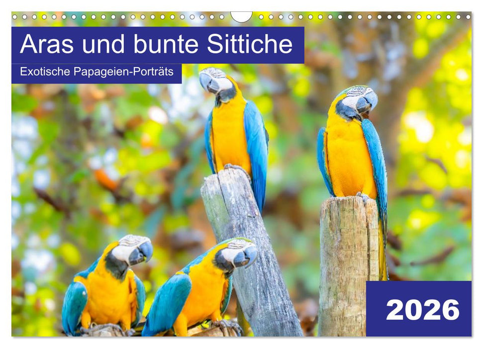 Aras und bunte Sittiche: Exotische Papageien-Porträts (CALVENDO Wandkalender 2026)