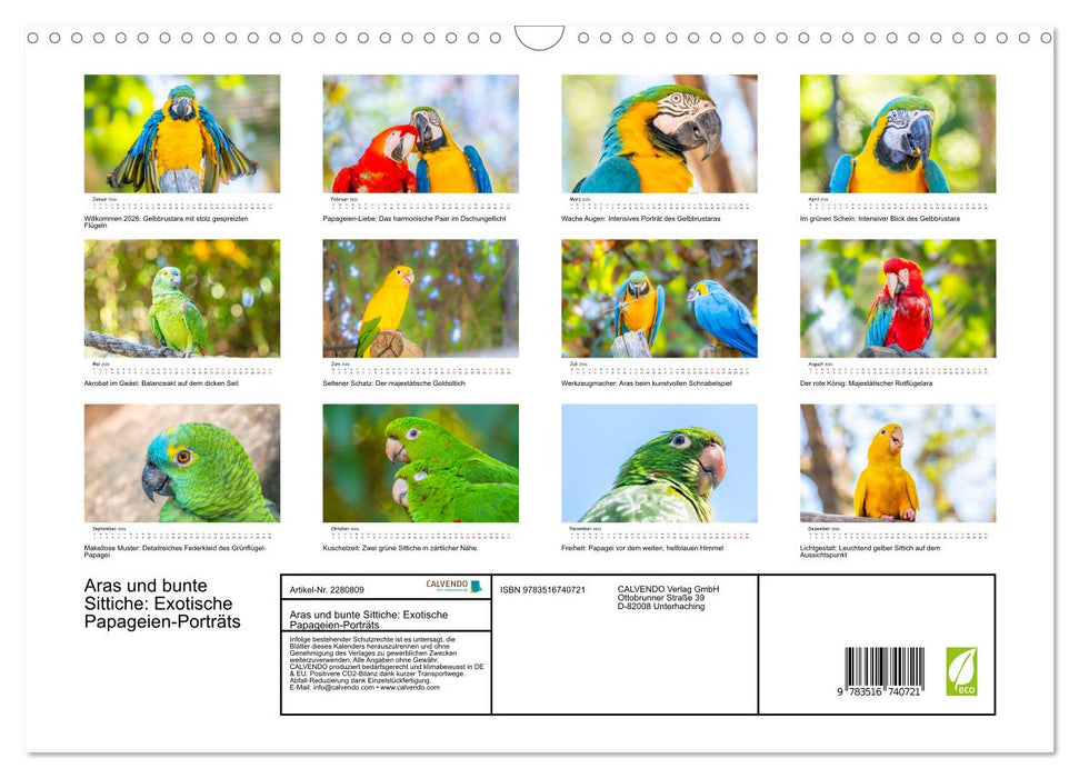 Aras und bunte Sittiche: Exotische Papageien-Porträts (CALVENDO Wandkalender 2026)