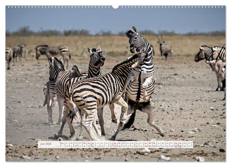 Namibia – Farben des Lebens (CALVENDO Premium Wandkalender 2026)