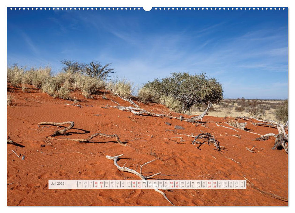 Namibia – Farben des Lebens (CALVENDO Premium Wandkalender 2026)