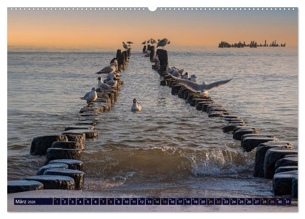 Ostseeträume (CALVENDO Premium Wandkalender 2026)