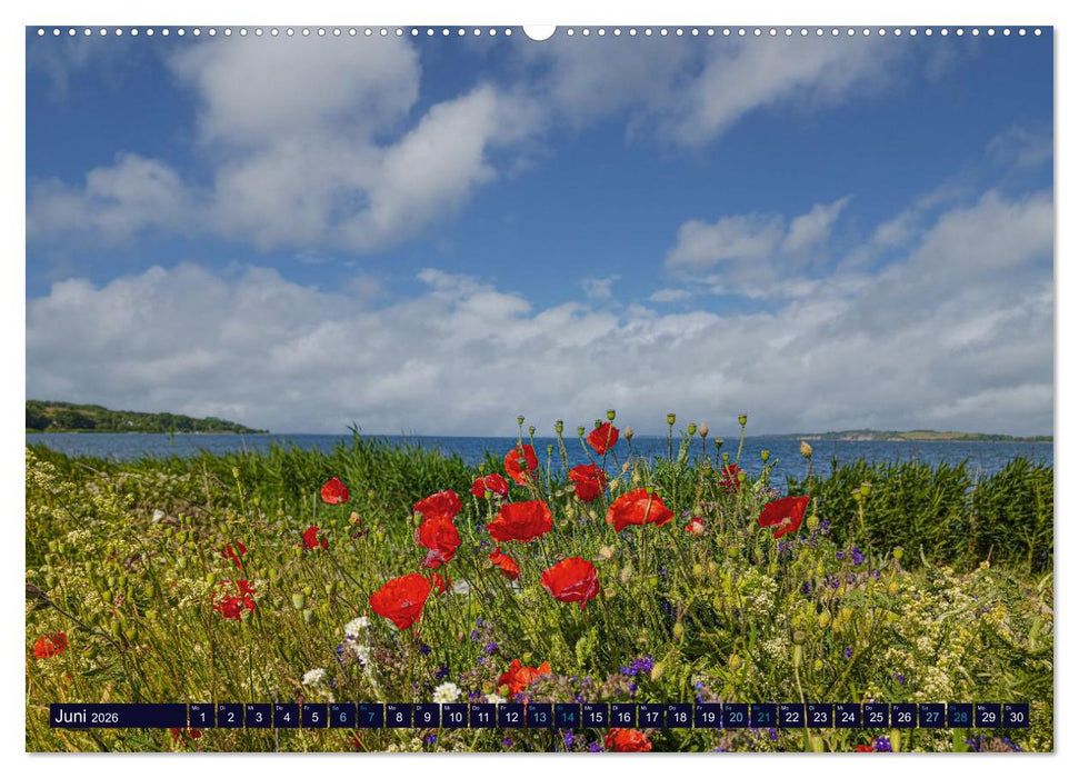 Ostseeträume (CALVENDO Premium Wandkalender 2026)