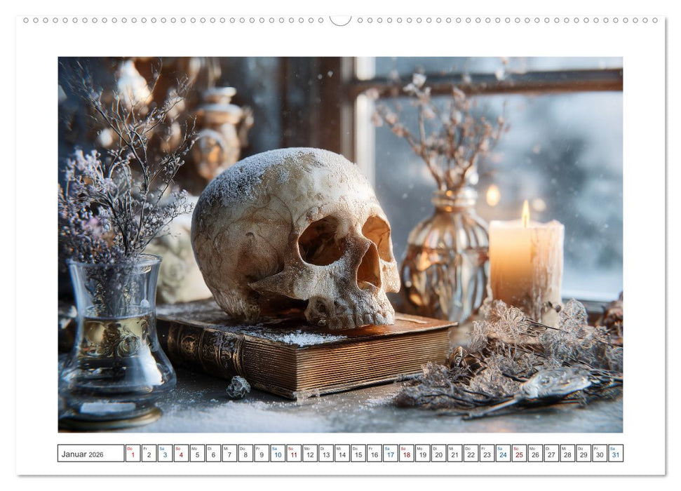 Schatten der Zeit (CALVENDO Premium Wandkalender 2026)