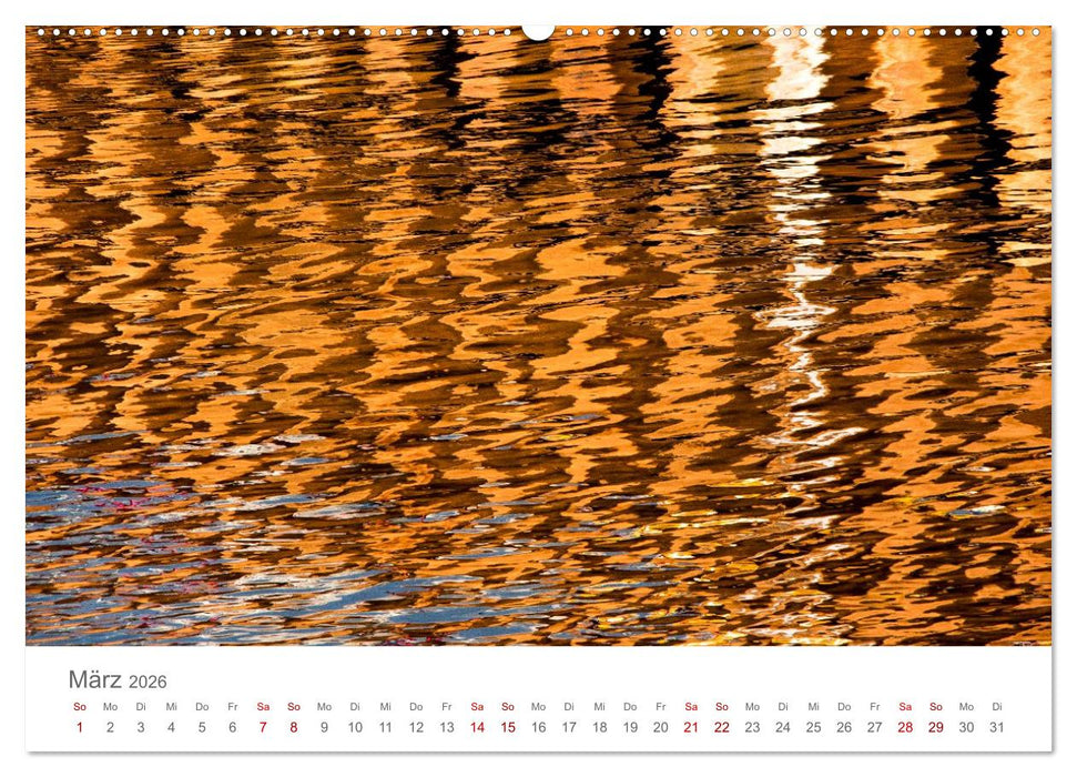 Aqua 2026 Fotografien von Mio Schweiger (CALVENDO Premium Wandkalender 2026)