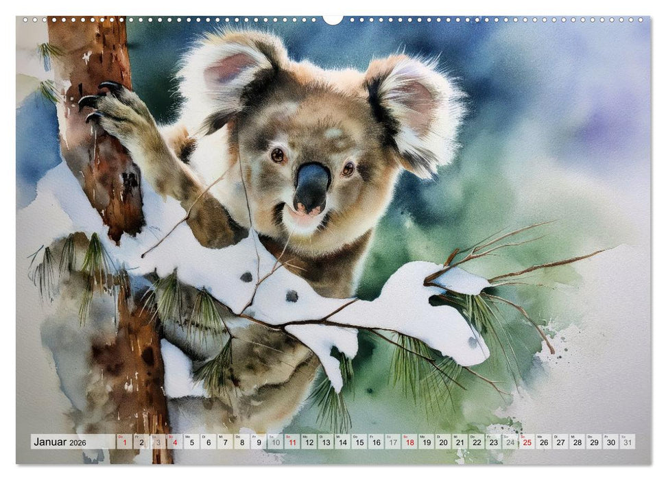 Koalas, liebenswerte kleine Schlafmützen (CALVENDO Premium Wandkalender 2026)