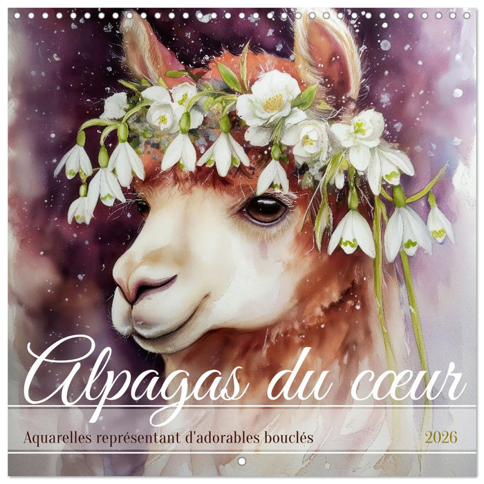 Alpagas du cœur (CALVENDO Calendrier mensuel 2026)
