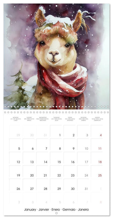 Alpagas du cœur (CALVENDO Calendrier mensuel 2026)