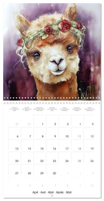 Alpagas du cœur (CALVENDO Calendrier mensuel 2026)