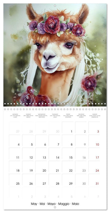 Alpagas du cœur (CALVENDO Calendrier mensuel 2026)