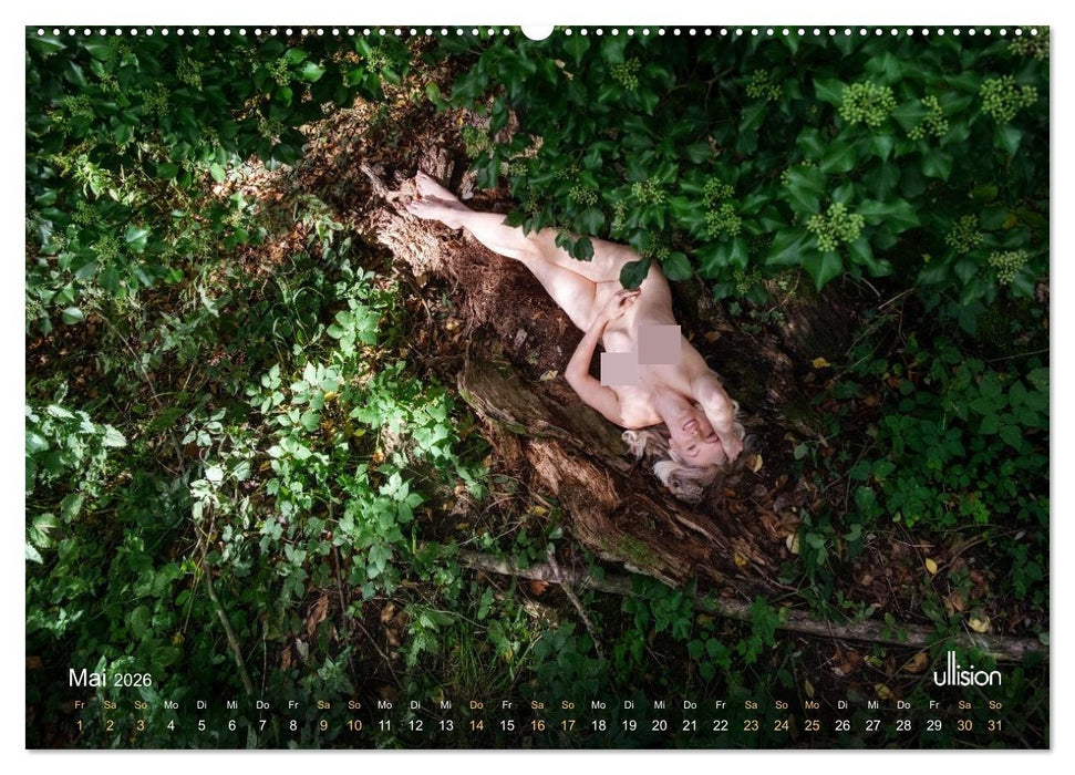 PIPPA CRASH - Haut der Erde (CALVENDO Wandkalender 2026)