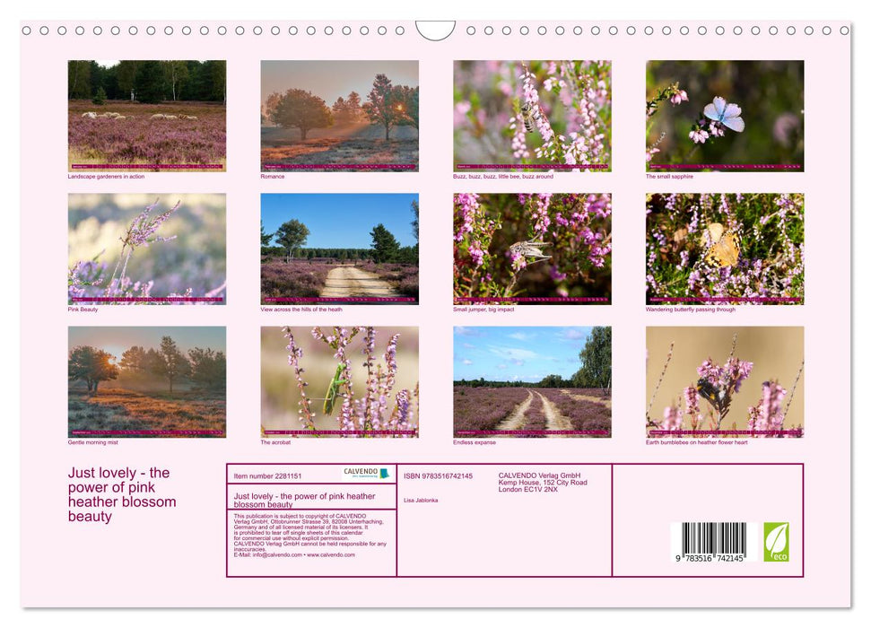 Just lovely - the power of pink heather blossom beauty (CALVENDO Monthly Calendar 2026)