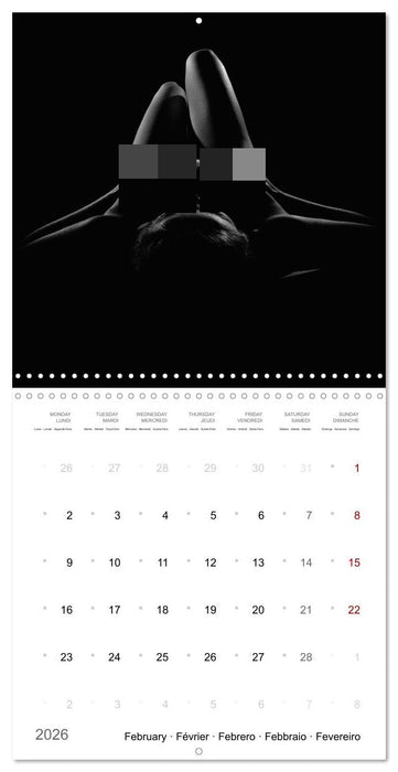 The academic nude (CALVENDO Monthly Calendar 2026)