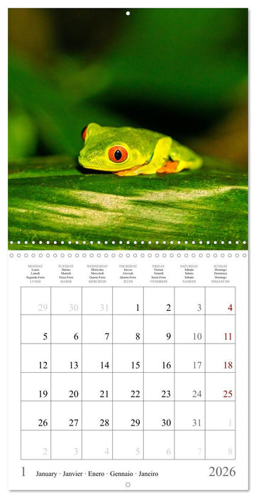 Costa Rica - The Magic of the Tropics (CALVENDO Monthly Calendar 2026)