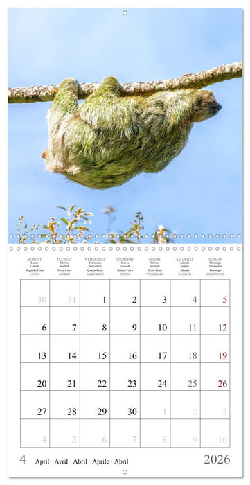 Costa Rica - The Magic of the Tropics (CALVENDO Monthly Calendar 2026)