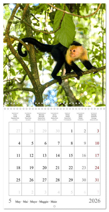 Costa Rica - The Magic of the Tropics (CALVENDO Monthly Calendar 2026)
