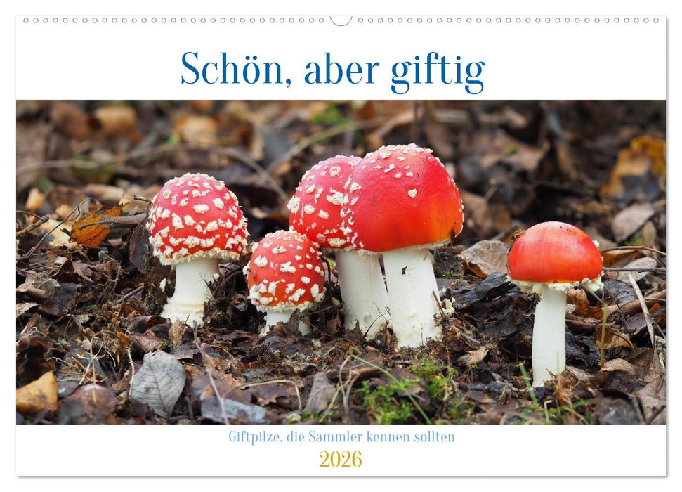 Schön, aber giftig. Giftpilze, die Sammler kennen sollten. (CALVENDO Wandkalender 2026)
