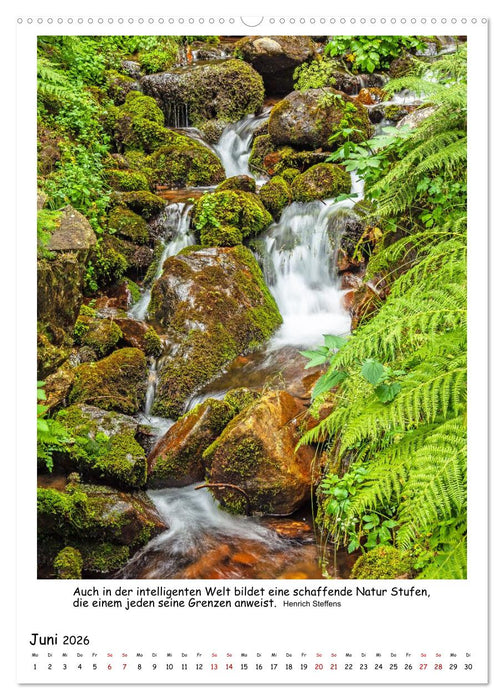 Treppen und Stufen (CALVENDO Premium Wandkalender 2026)