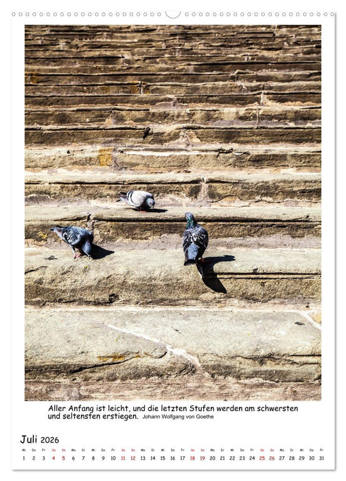 Treppen und Stufen (CALVENDO Premium Wandkalender 2026)