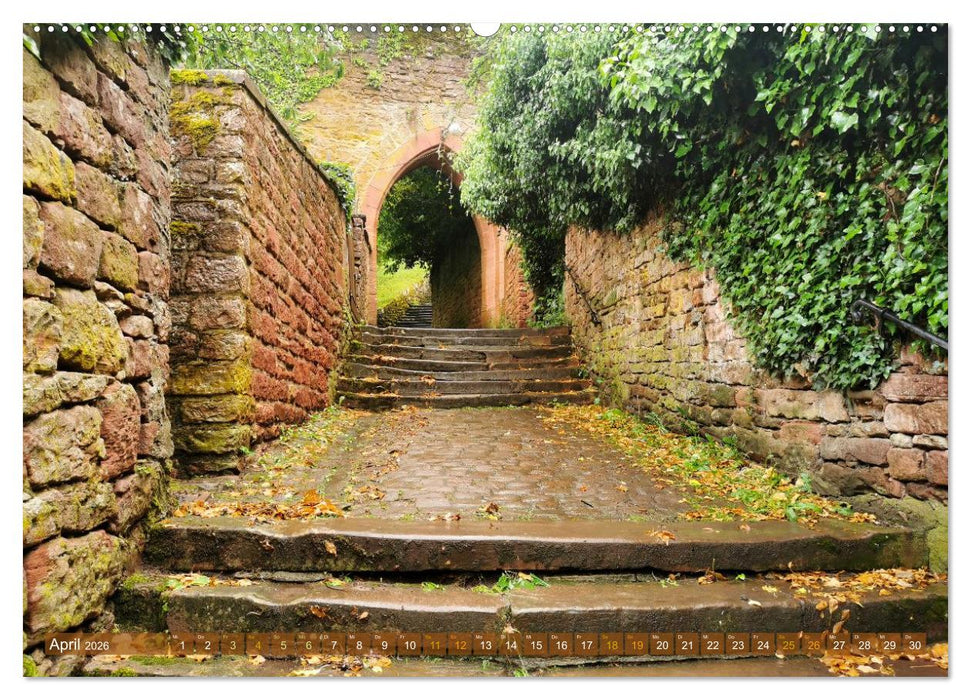 Romantisches Miltenberg am Main (CALVENDO Premium Wandkalender 2026)
