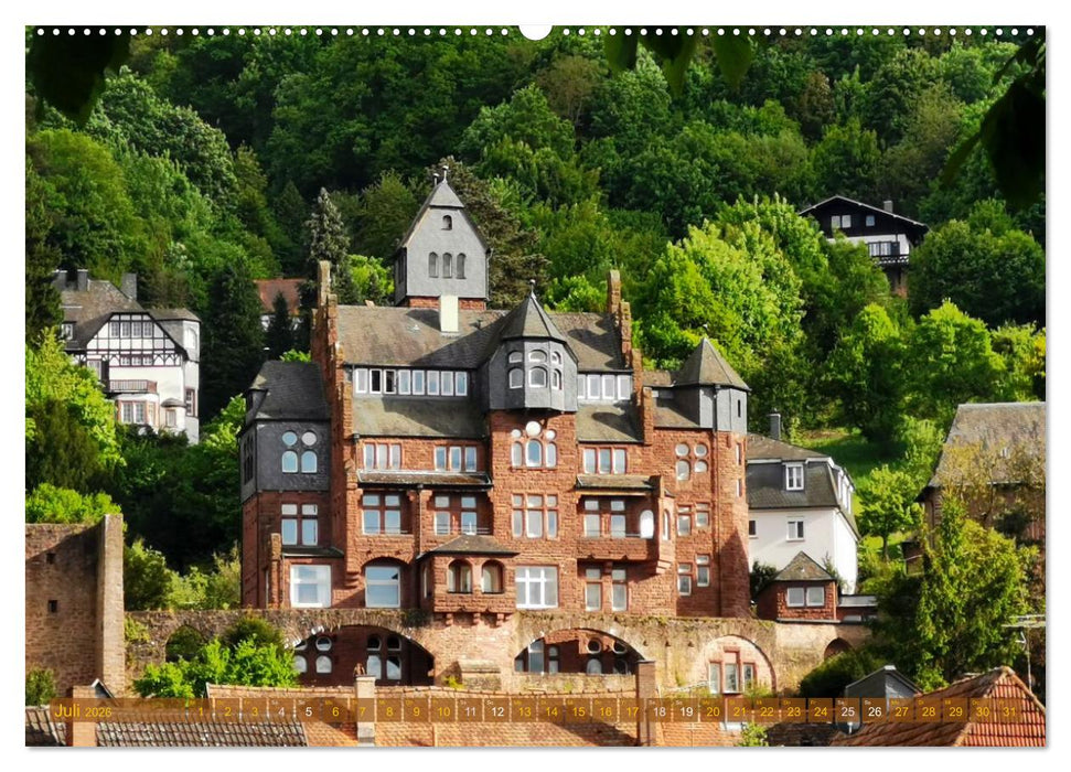 Romantisches Miltenberg am Main (CALVENDO Premium Wandkalender 2026)
