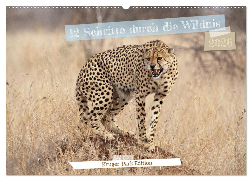 12 Schritte durch die Wildnis, Kruger Park Edition (CALVENDO Wandkalender 2026)
